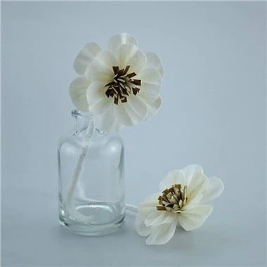 ডিফিউজার ফুল